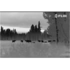 Thermal Image using Black Hot Setting