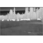 Thermal Image using White Hot Setting