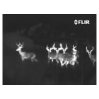 Thermal image of a large group of deer