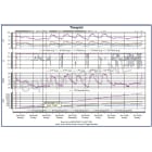 Harmonic Timeplots