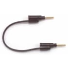 PomonaP-18-2 Additional image