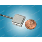 SJR10_image_1