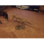 Finished model on floor