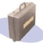 Case