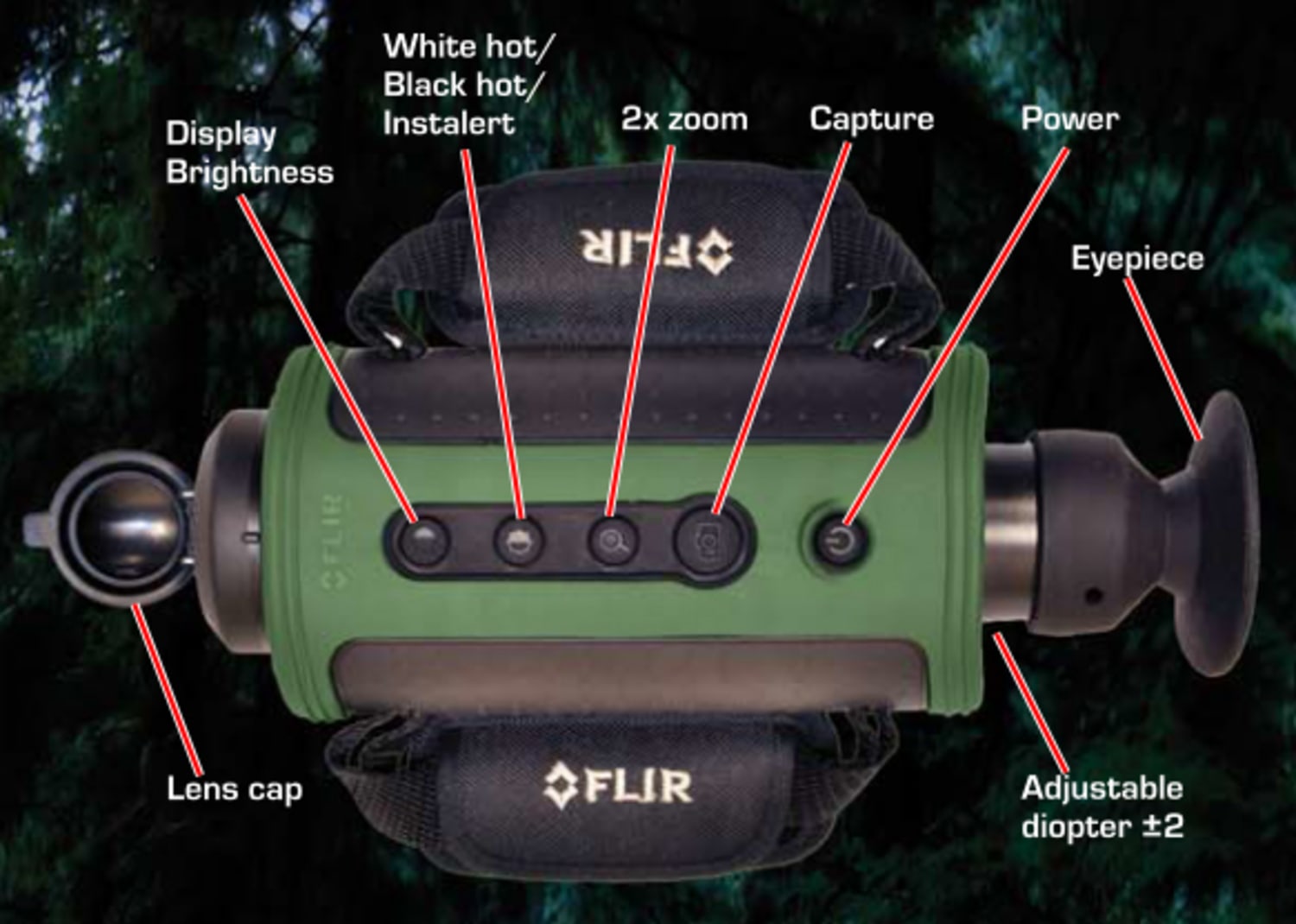 431_0003_05_00S_image_2