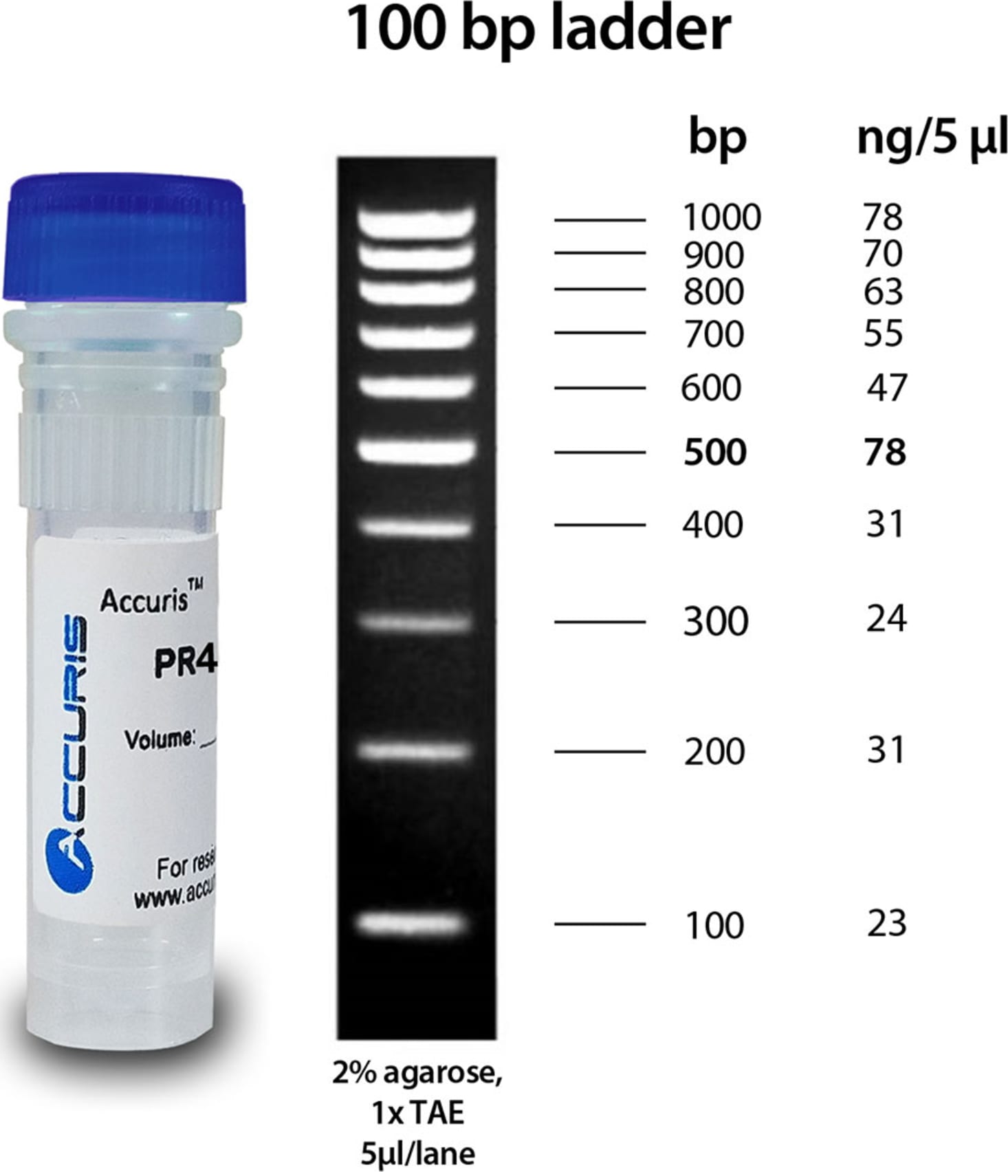 Accuris PR4010-S SmartCheck 100bp DNA Ladder