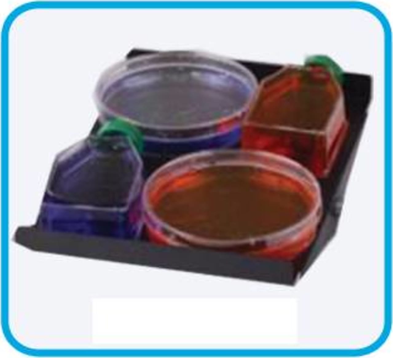 Benchmark R4040-RP - Rocking Platform