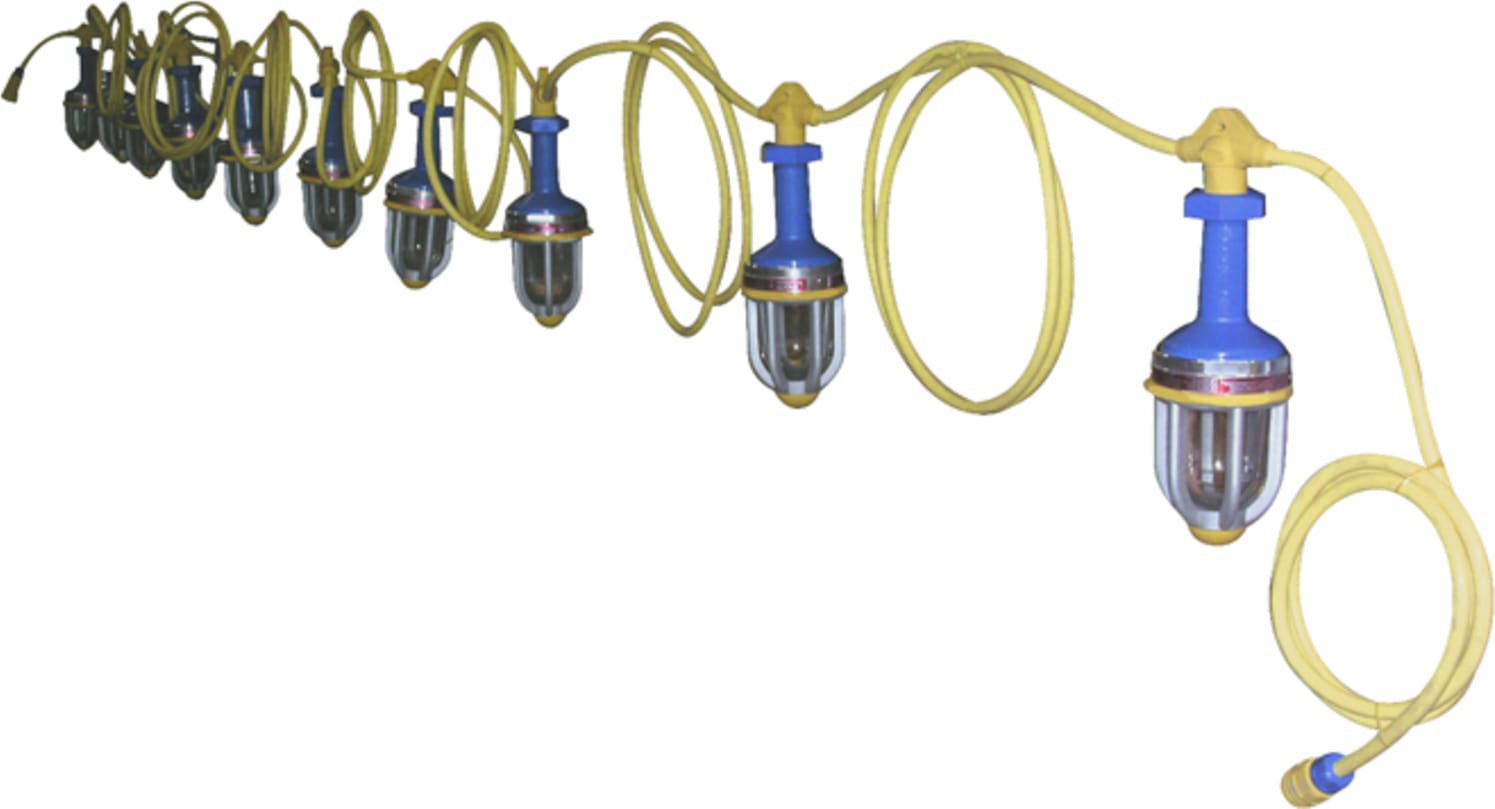 Ericson_123100CFLXPI-1