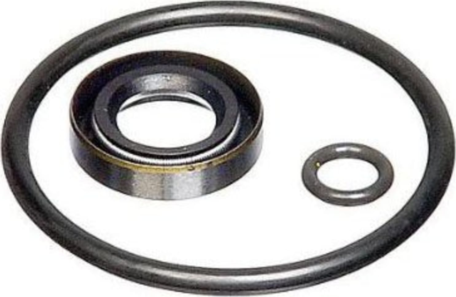 Fluke P5521SK Seal Kit 