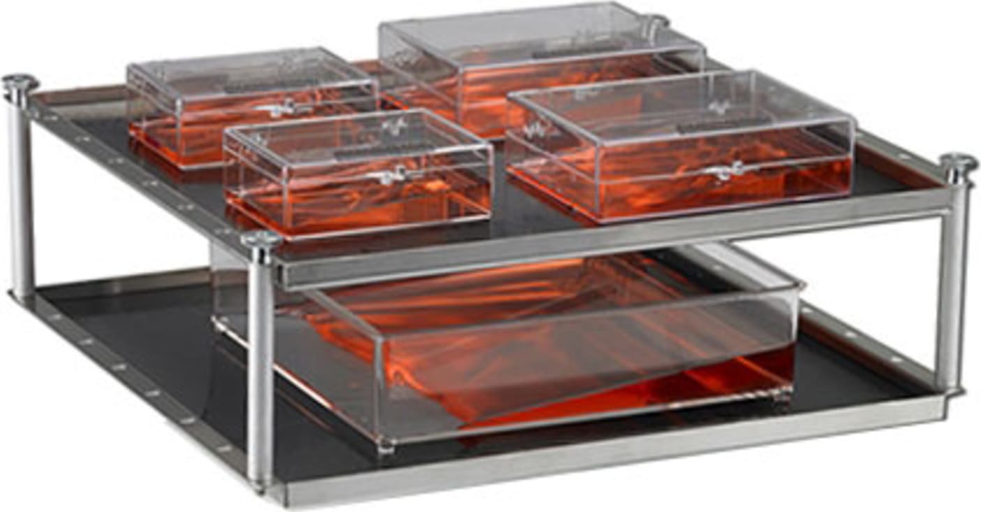 Labnet International S2031-12D Two Stacked Platforms (30 x 30 cm)