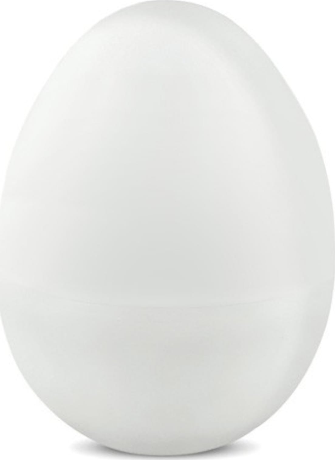 Madgetech EggTemp Main Image