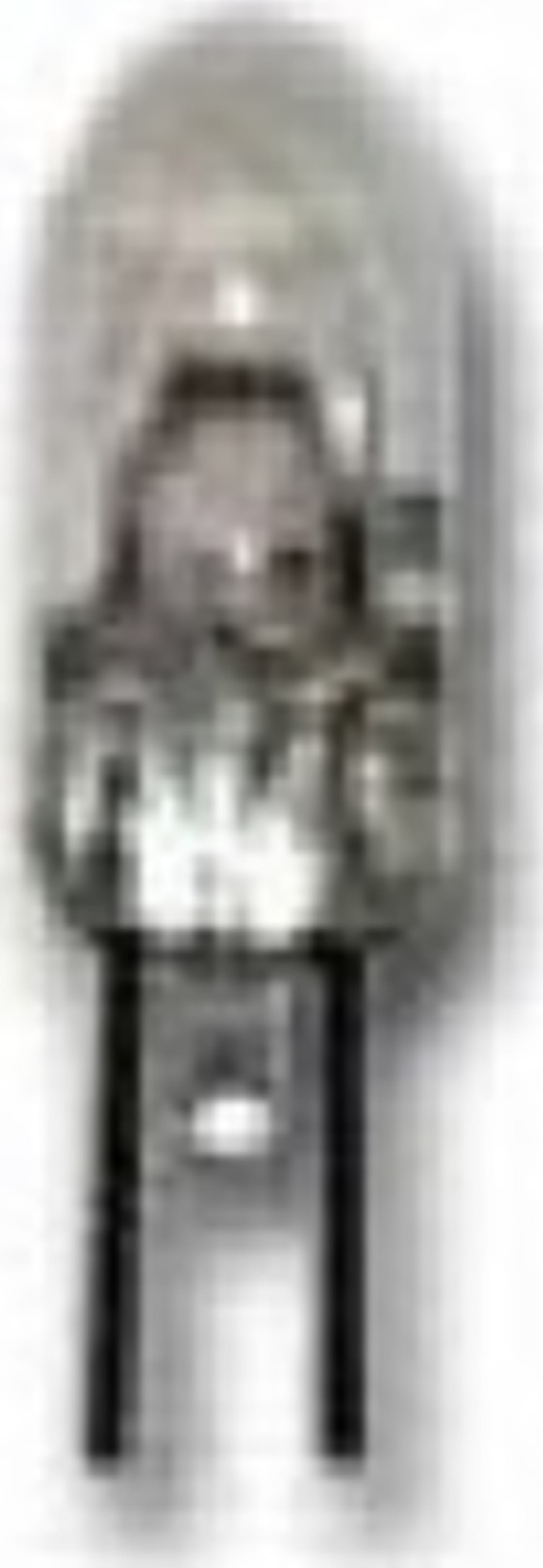 Meiji Techno MA260/05 - Halogen Lamp (6V, 20W)