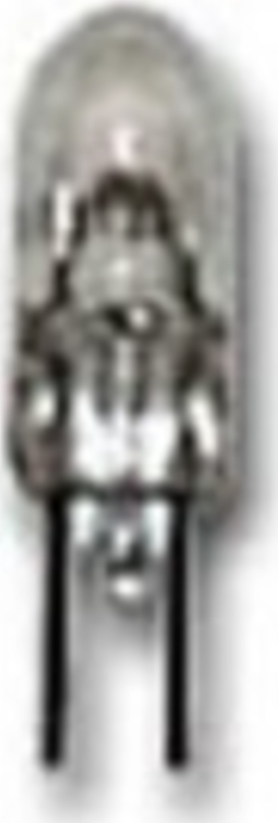 Meiji Techno MA570 - Halogen Lamp (6V, 10W)