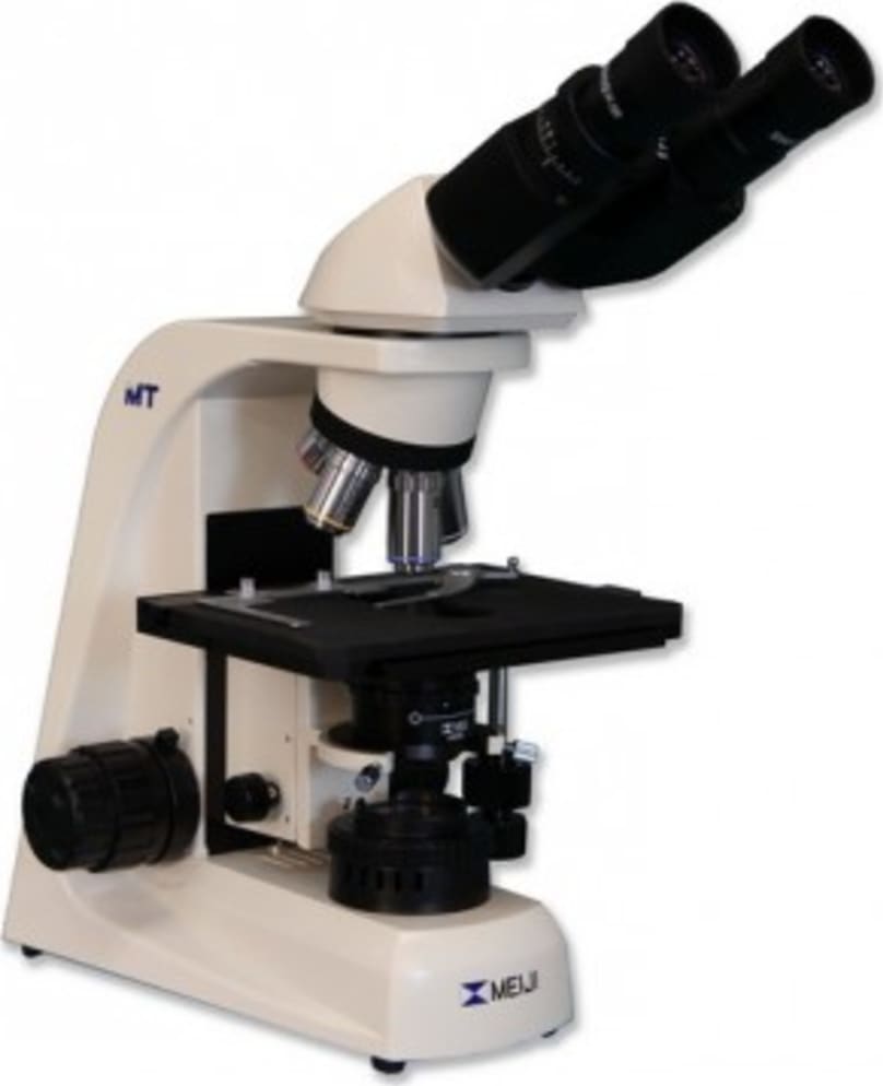 Meiji Techno MT5200HV - Veterinary Halogen Binocular Brightfield