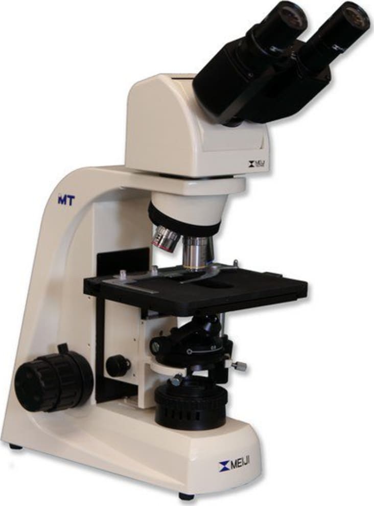 Meiji Techno MT4200EH Halogen Ergonomic Binocular Brightfield Biological Microscope Right Side Angle View