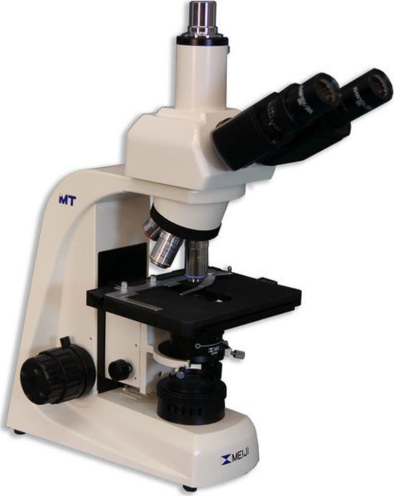 Meiji Techno MT4300H Halogen Trinocular Brightfield Biological Microscope Right Side Angle View
