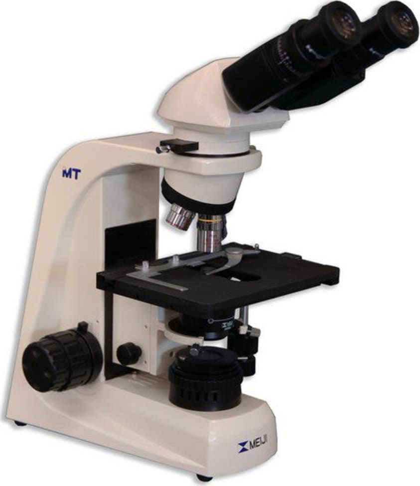 Meiji Techno MT9520 Binocular Gout Testing Microscope Right Side Angle View
