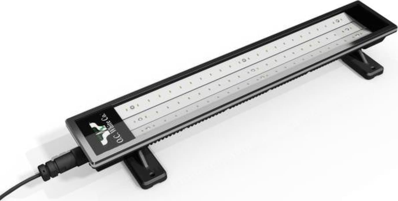 OC White LED-1936-120V
