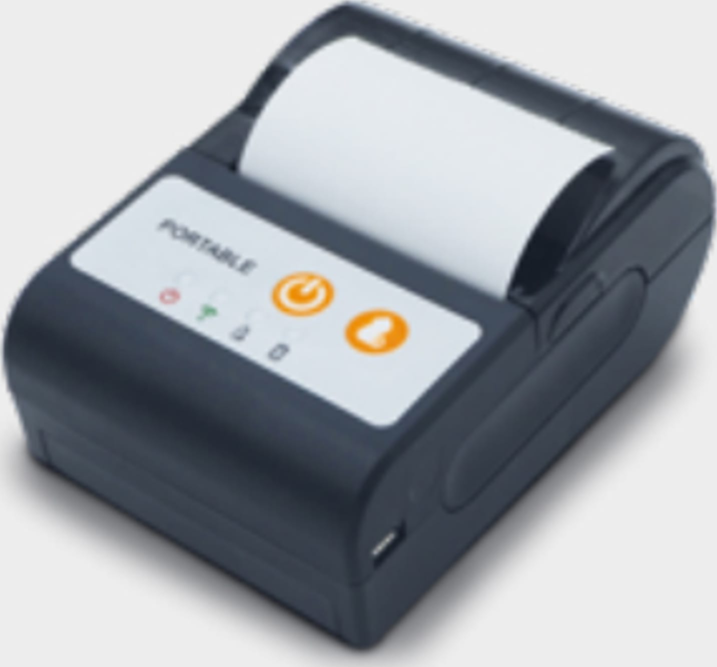 Sauermann27546_image01