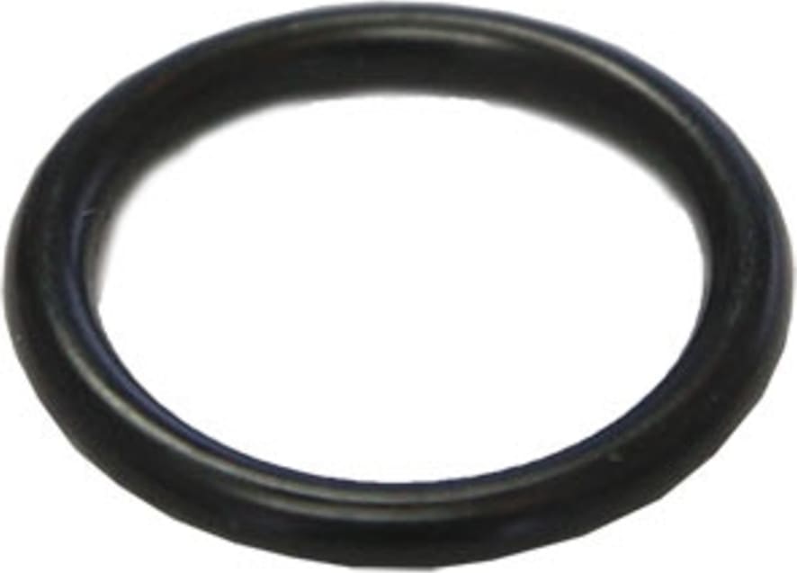 Seitron WORIA21.95 - Replacement O-Ring for NOVO Water Trap
