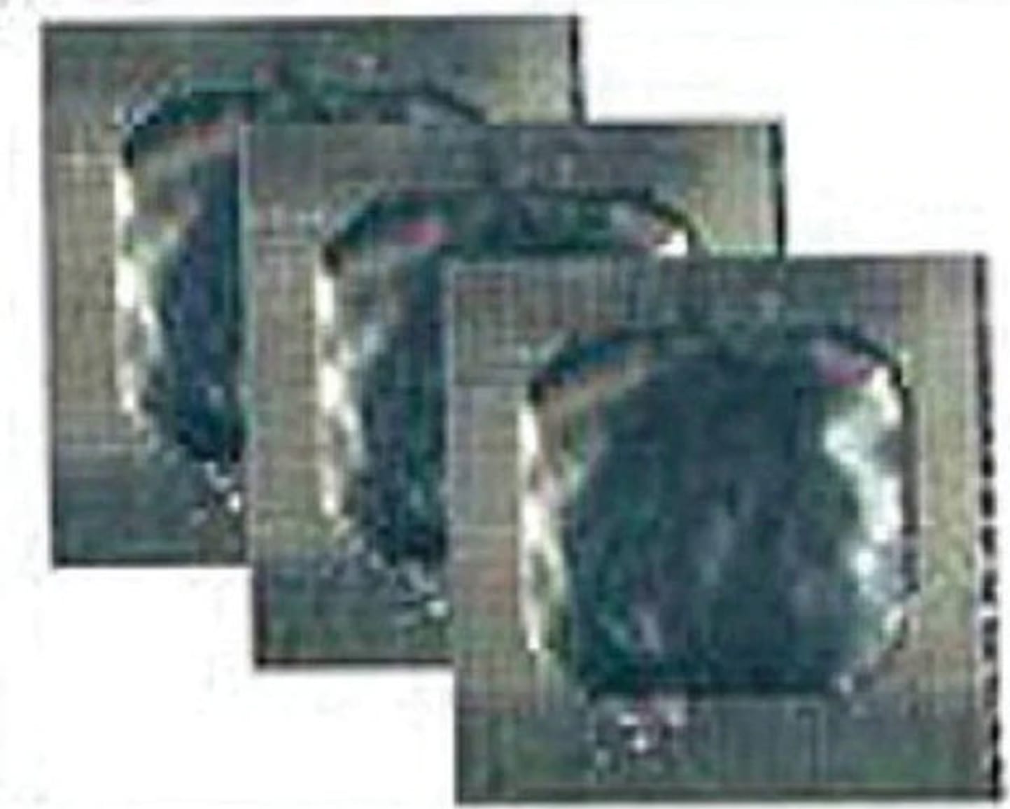 Thermo-Scientific-AC4P82