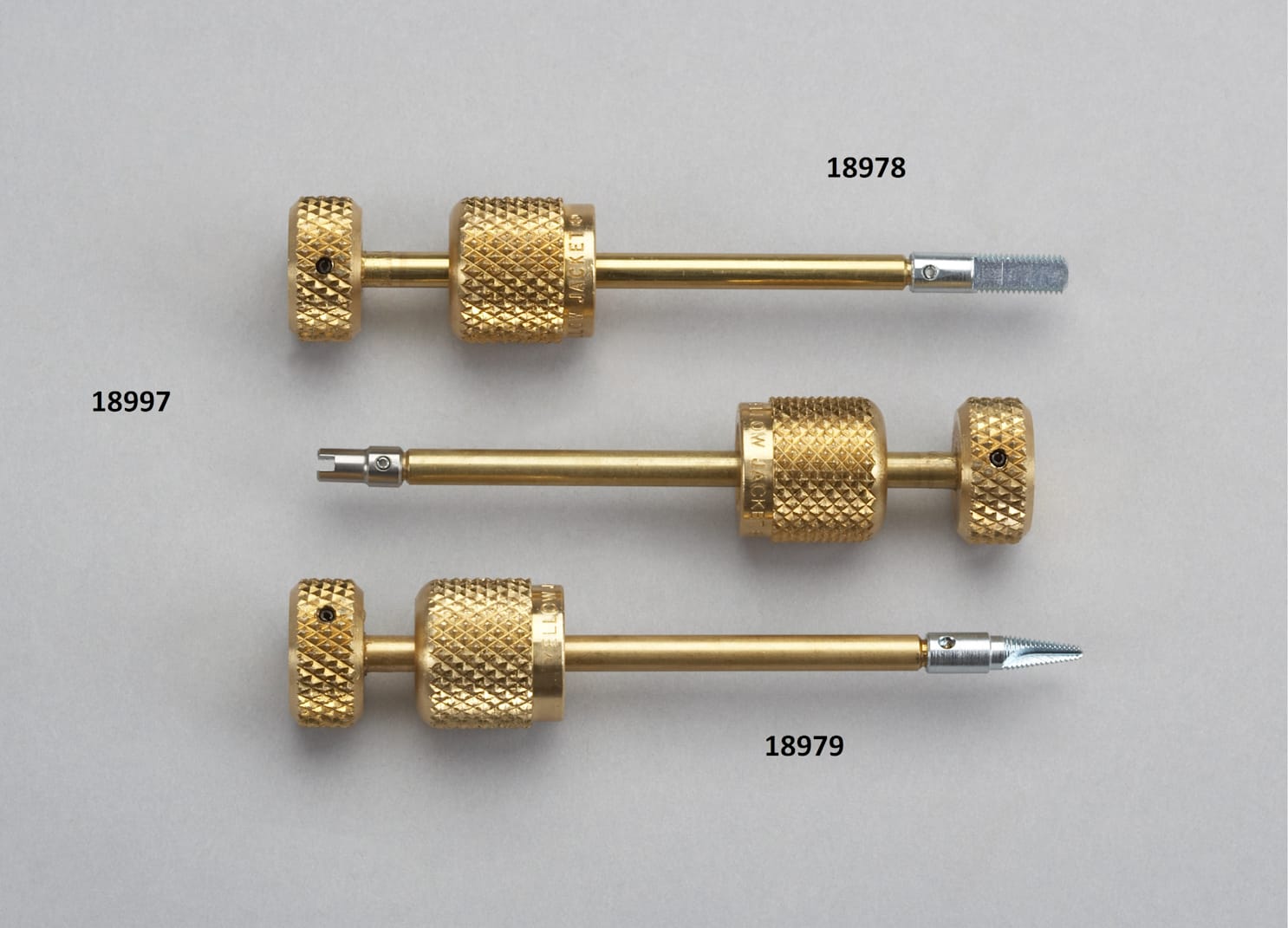 Yellow_Jacket_18978-18979-18997