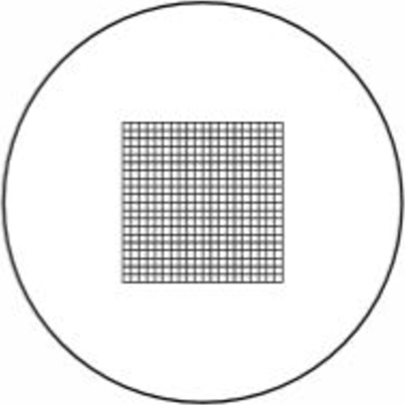 meiji_techno_reticle_400_squares