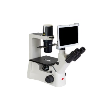 AE2000 TRINO + BTI10