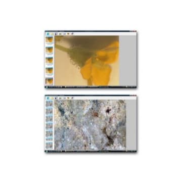 IMAGES MULTI FOCUS PRO