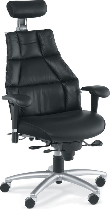 Verte Chair, Best Ergonomic Chair, Lumbar Support Chair