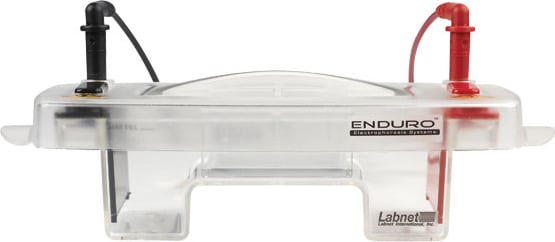 Labnet International E1007-10 