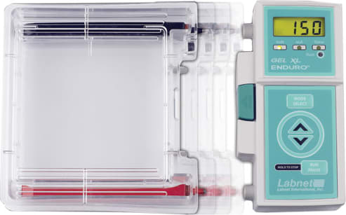 Labnet ENDURO Gel XL Electrophoresis System