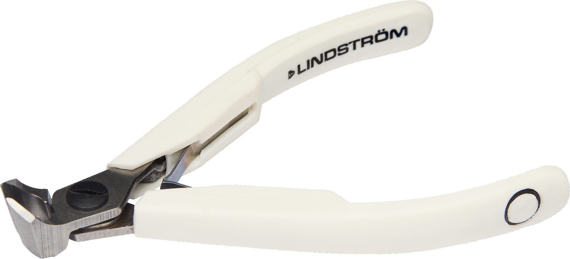 Lindstrom7293 Main Image