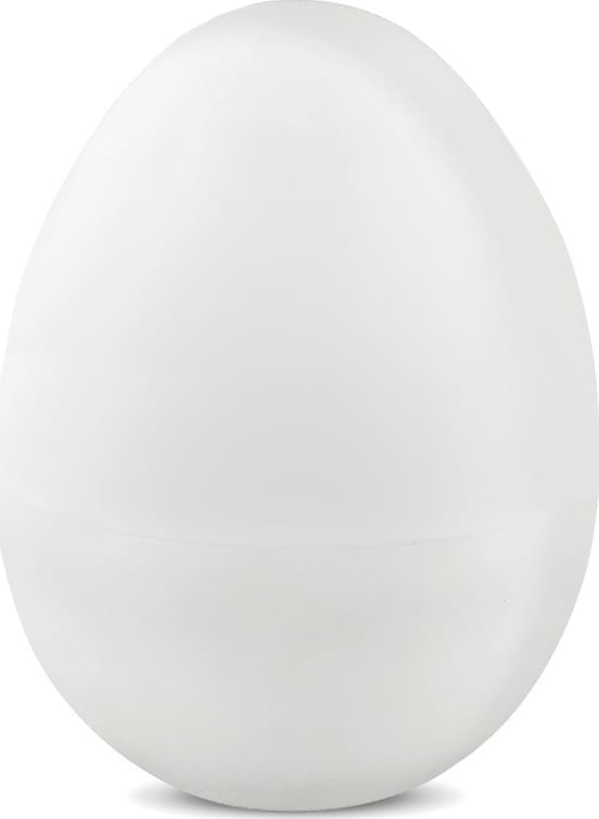 Madgetech EggTemp-TS Image