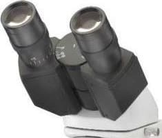 Unico M250-3004 Seidentopf Binocular for M250 and M250LED Series