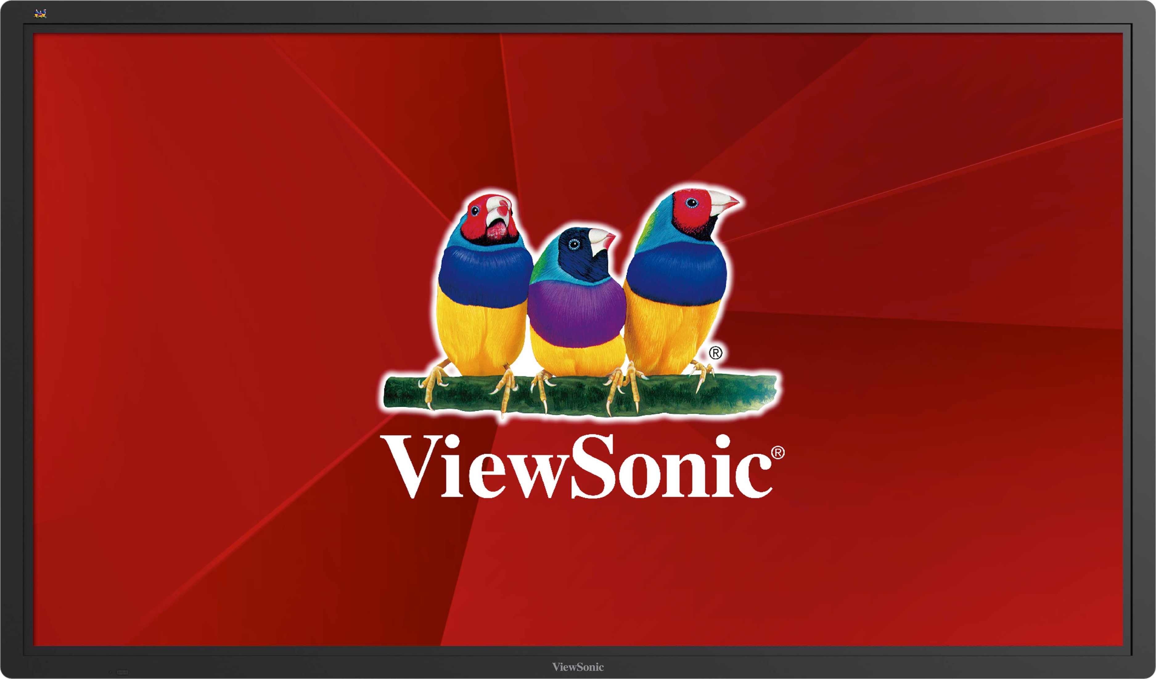 ViewSonic CDE6502