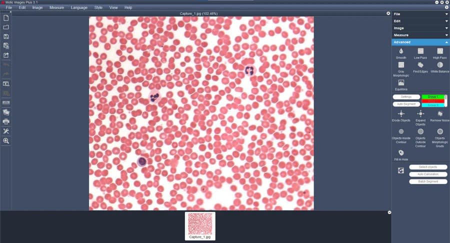 Motic IMAGES ADVANCED 3.1