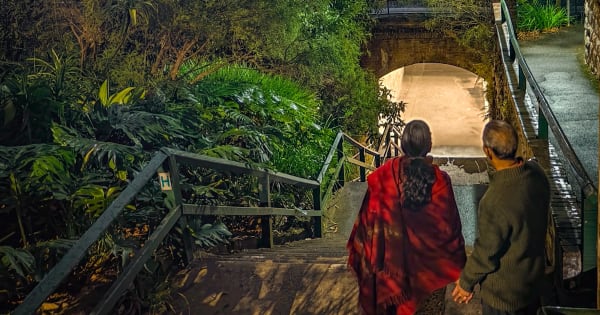 Journey of a Lifetime