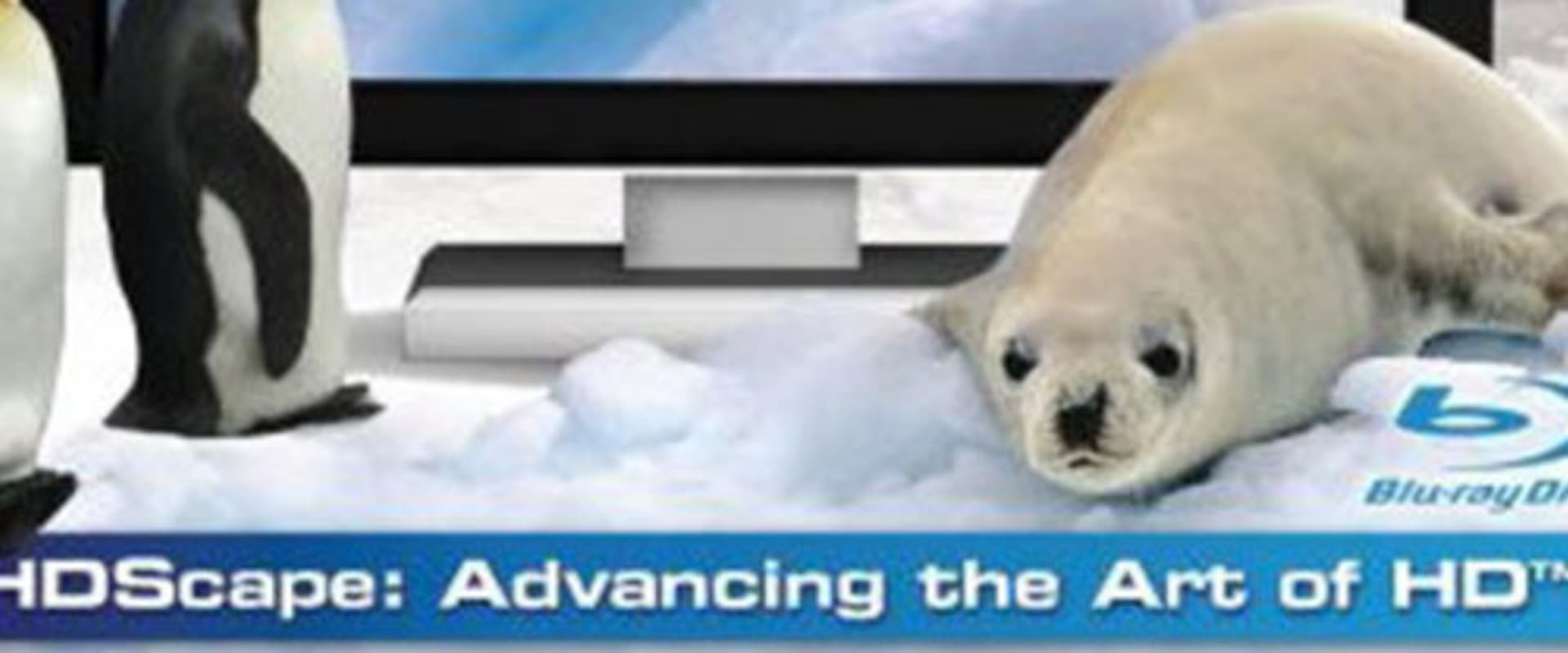 Documentary backdrop image for Antarctica Dreaming (2009)