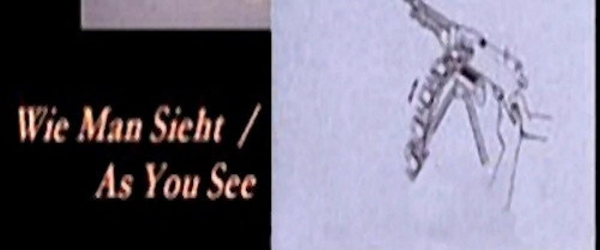 Documentary backdrop image for As You See (1986)