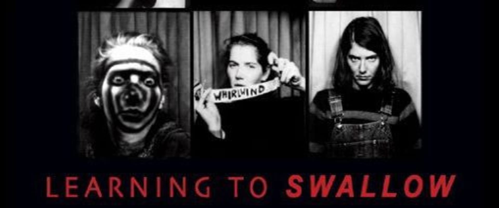 Documentary backdrop image for Learning to Swallow (2005)
