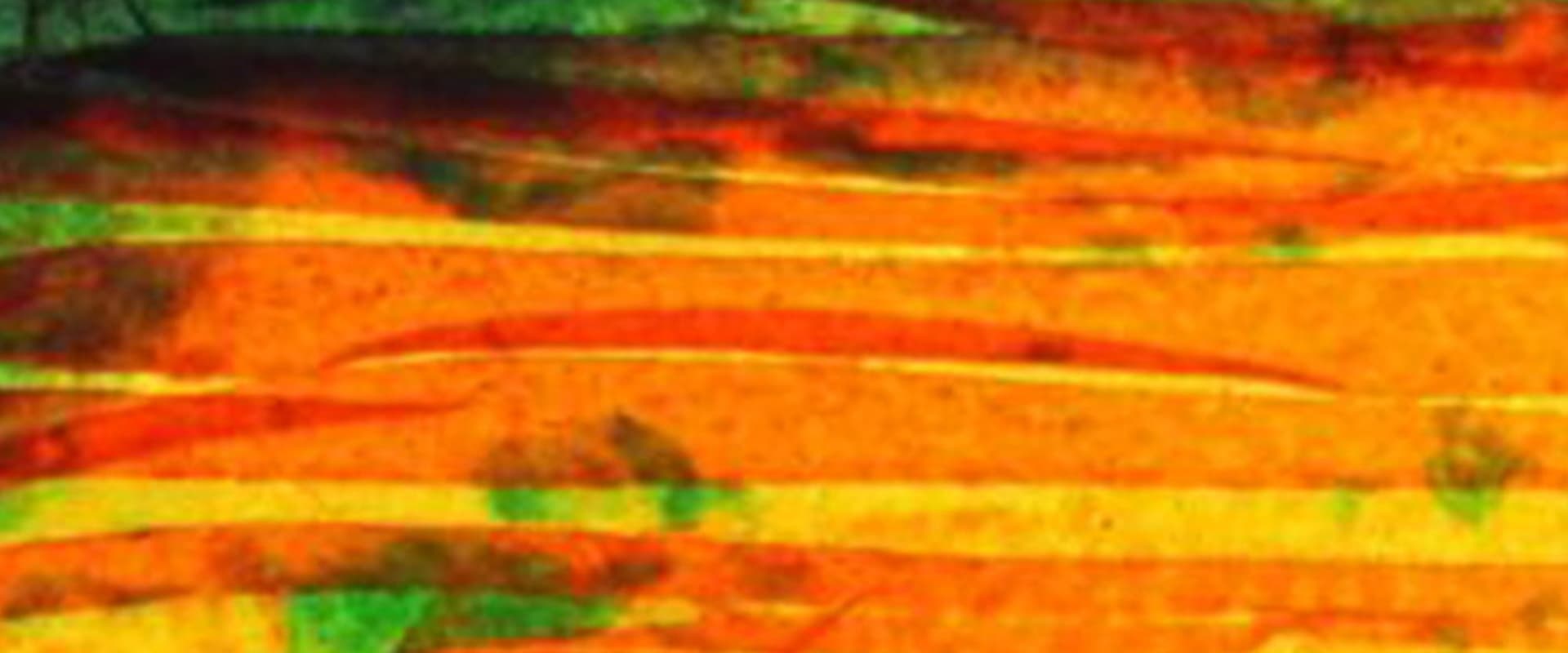 Documentary backdrop image for The Pit (2019)