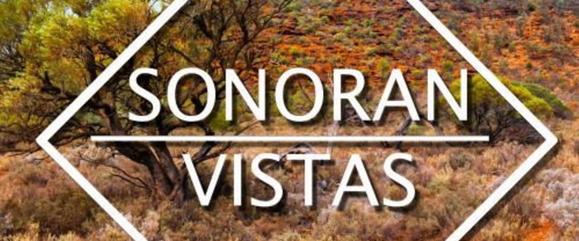 Documentary backdrop image for Sonoran Vistas (2022)
