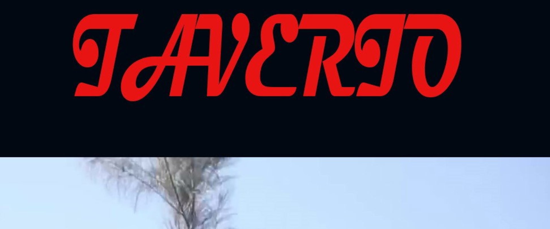 Documentary backdrop image for Taverio (2019)