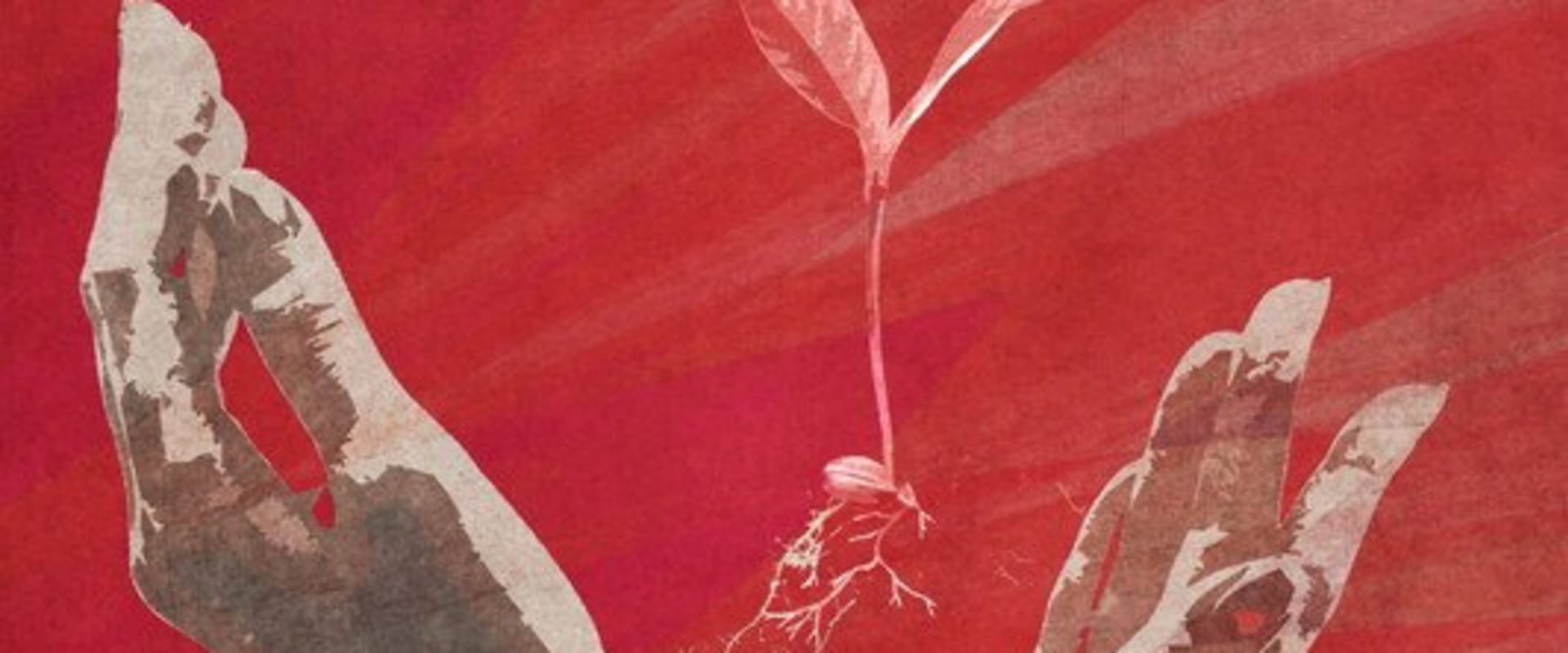 Documentary backdrop image for The Red List (2025)