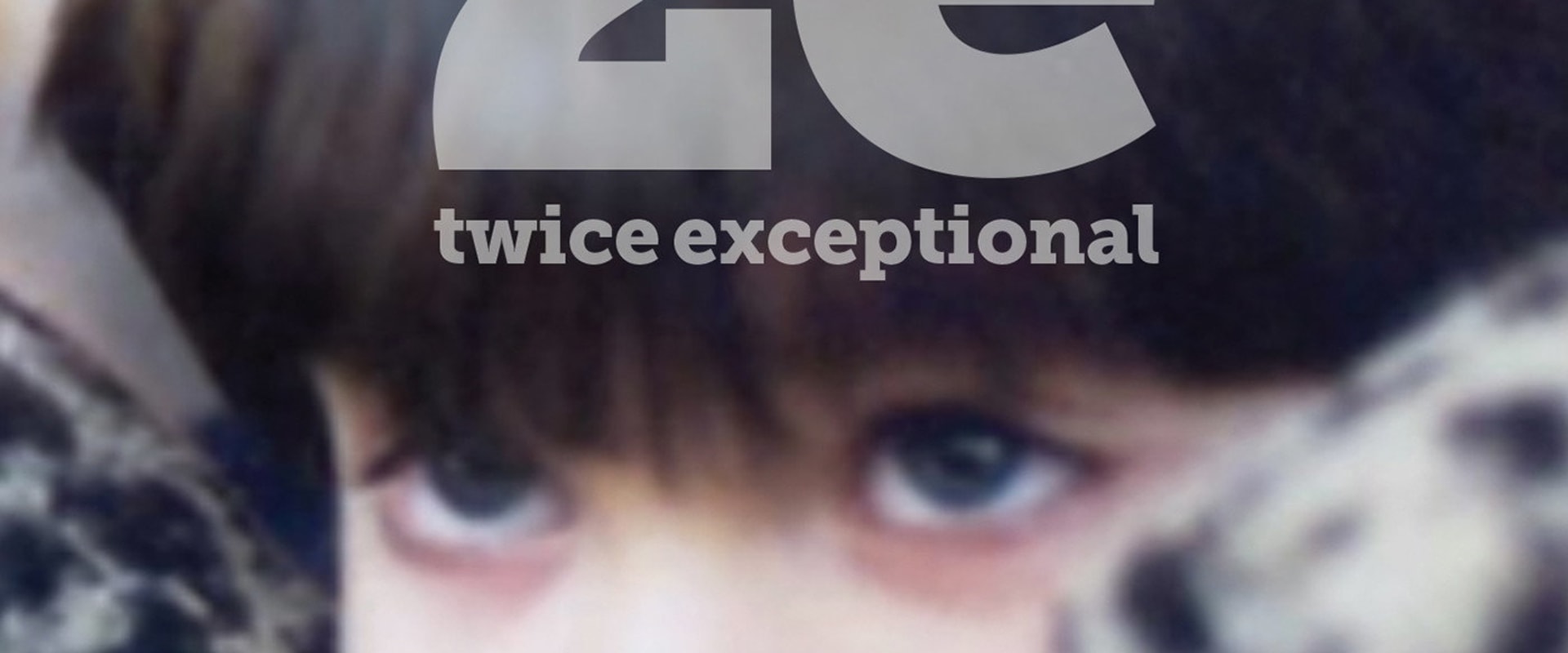 Documentary backdrop image for 2e: Twice Exceptional (2015)
