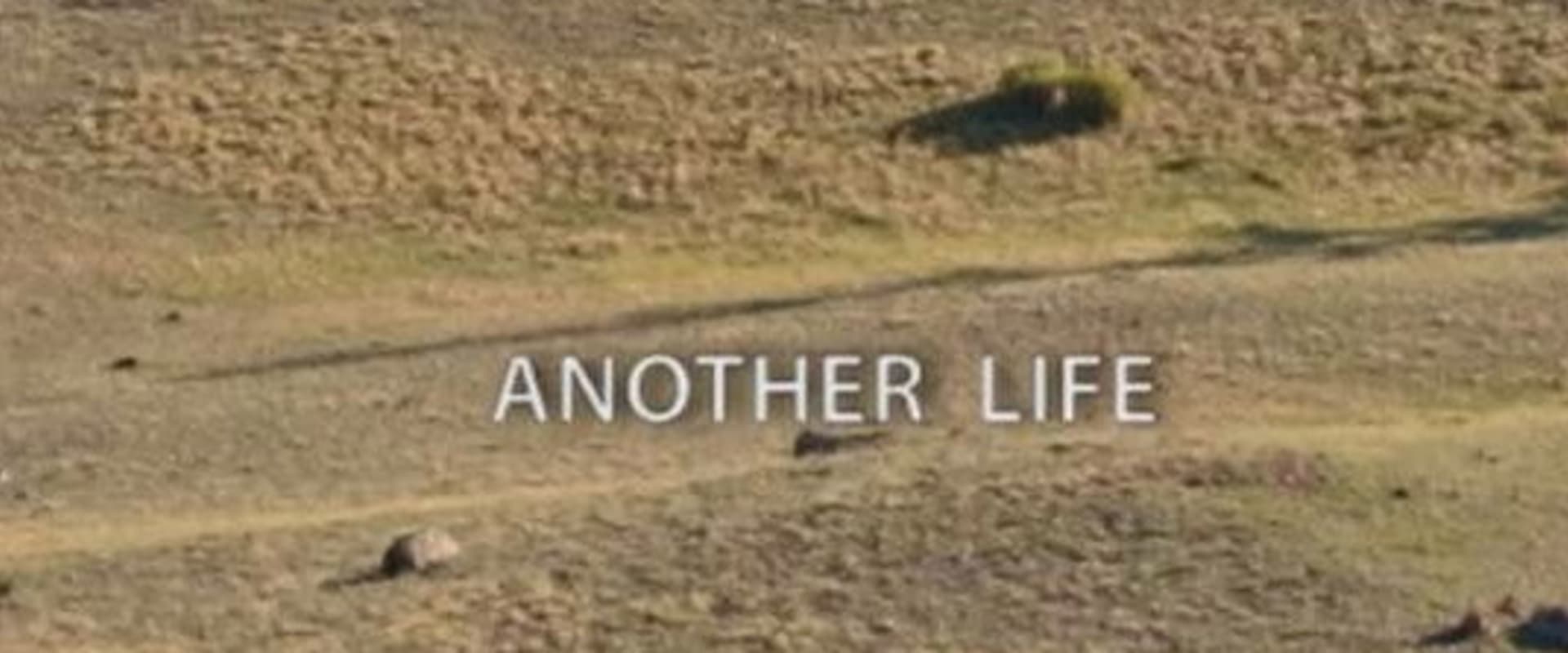 Documentary backdrop image for Another Life (2017)