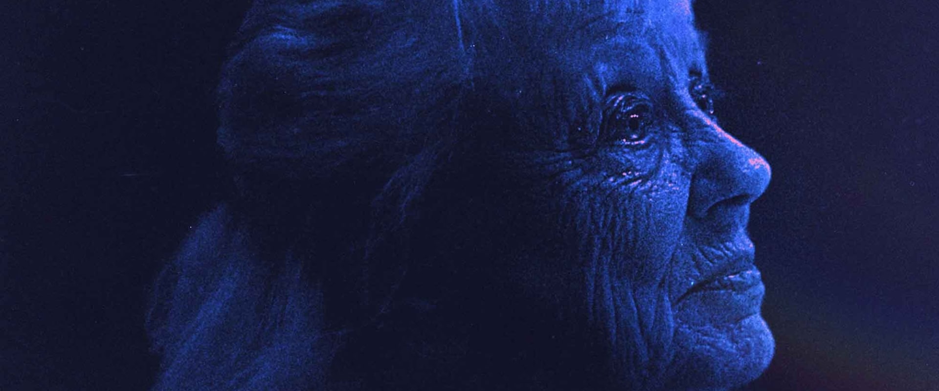 Documentary backdrop image for Paulette (2021)