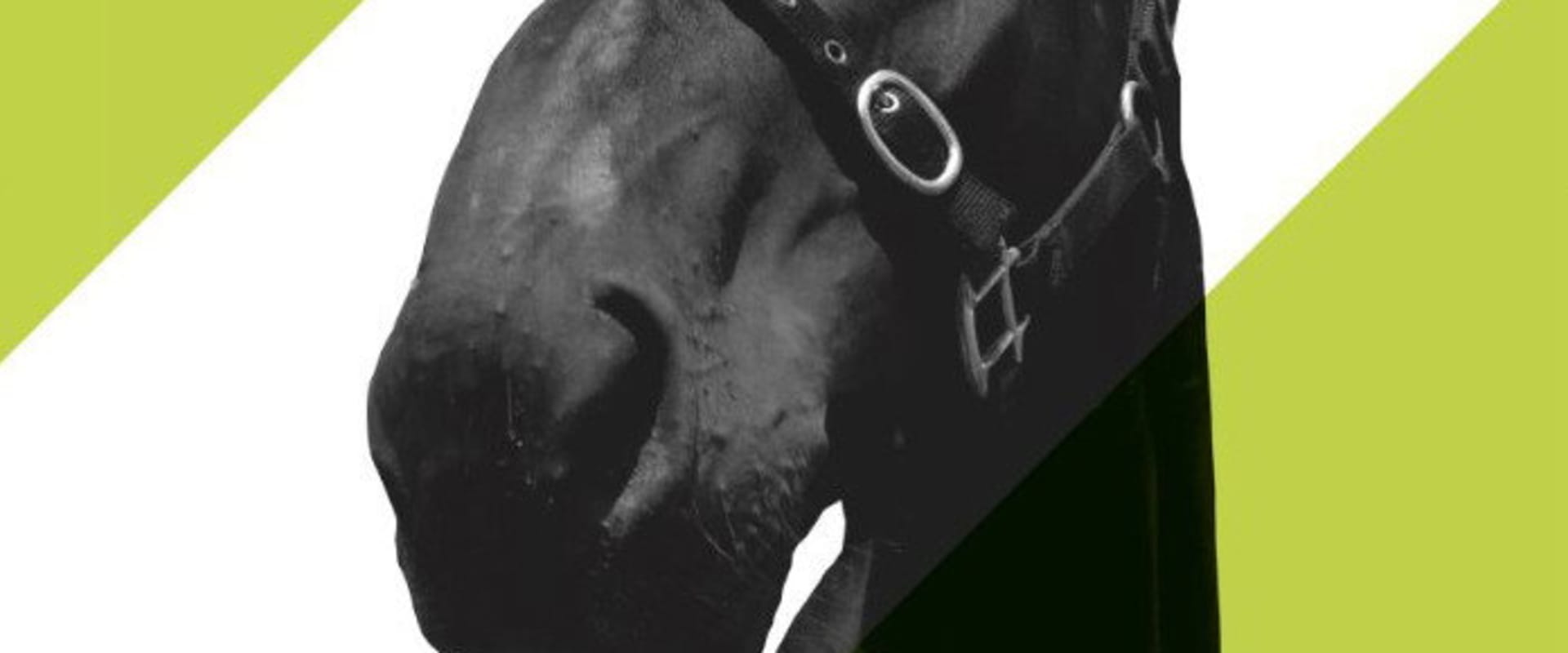 Documentary backdrop image for Horses (2010)