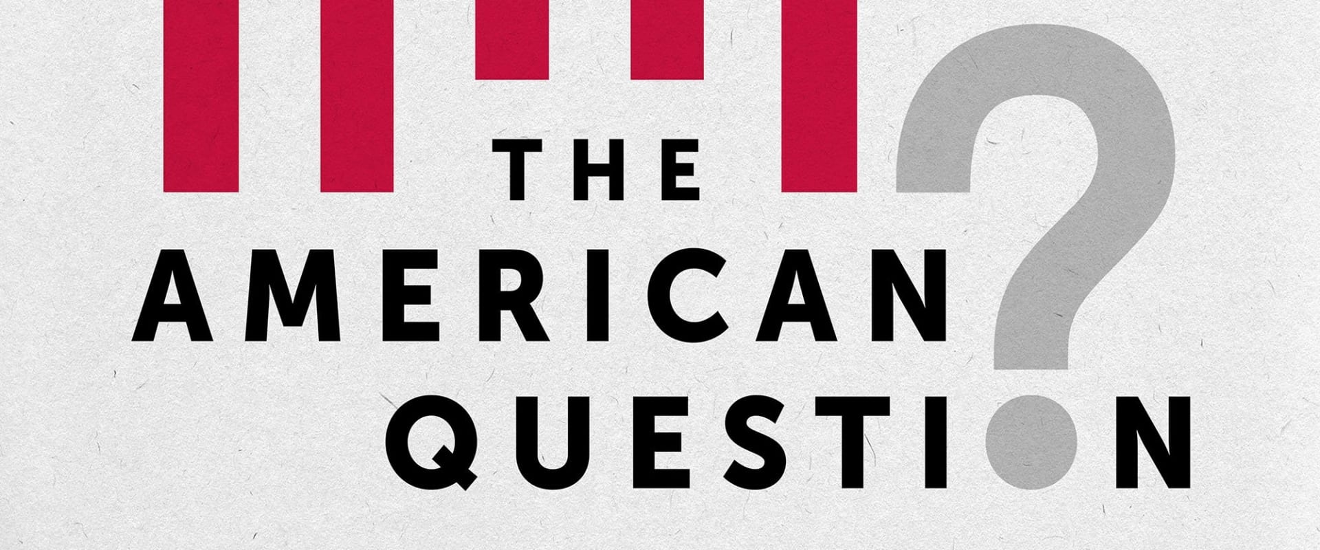 Documentary backdrop image for The American Question (2024)